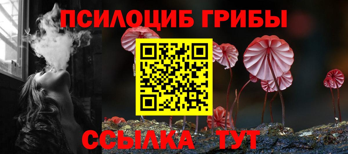 Псилоцибиновые грибы ЛСД  Вход с VPN  Большой Камень  где купить наркоту  Псилоцибиновые грибы GOLDEN TEACHER 